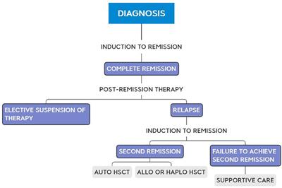 Therapy of childhood acute lymphoblastic leukemia in resource-poor geospaces